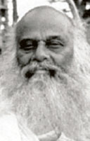 നടരാജഗുരു 